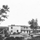 Illustration for article titled Until 1891, an Ancient Sycamore Tree Grew in L.A.s Industrial Core